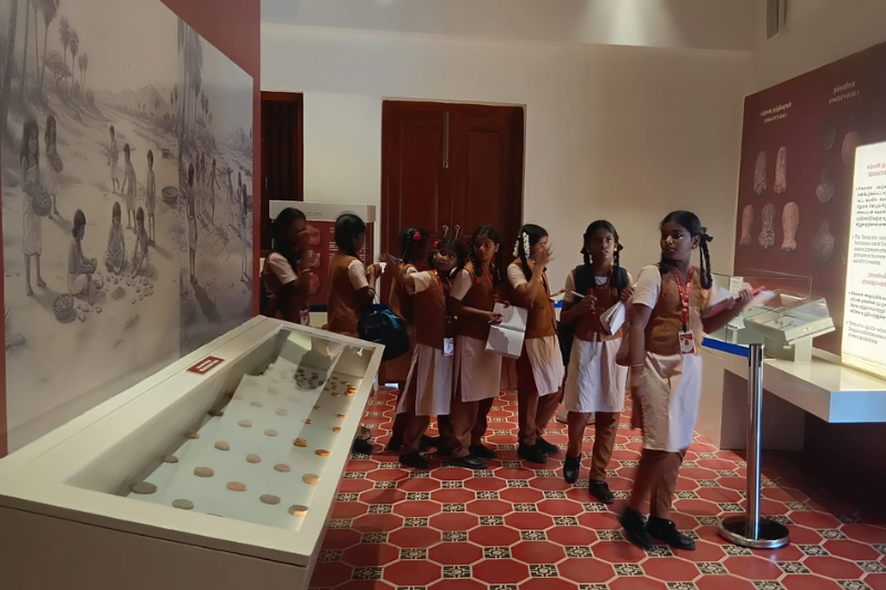 Porunai Gallery 3