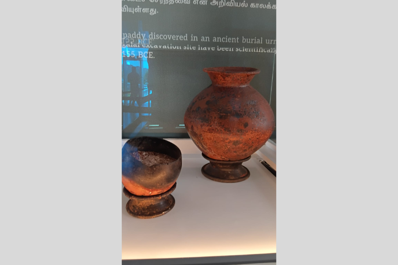 Porunai Gallery 5