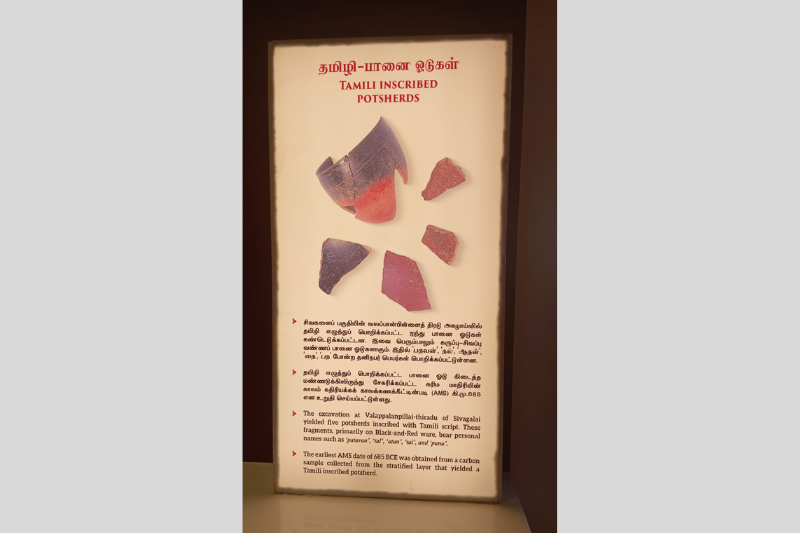 Porunai Gallery 8