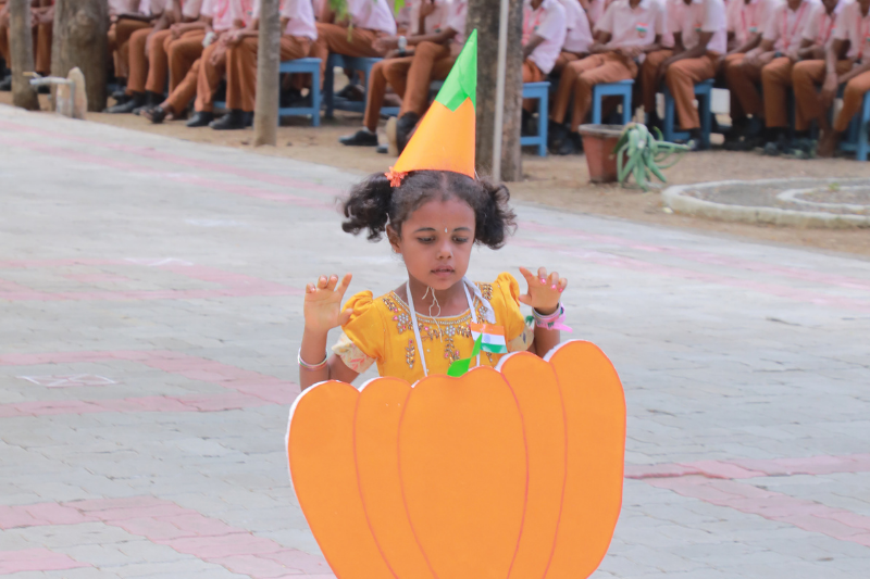 Independence Day Celebration 27
